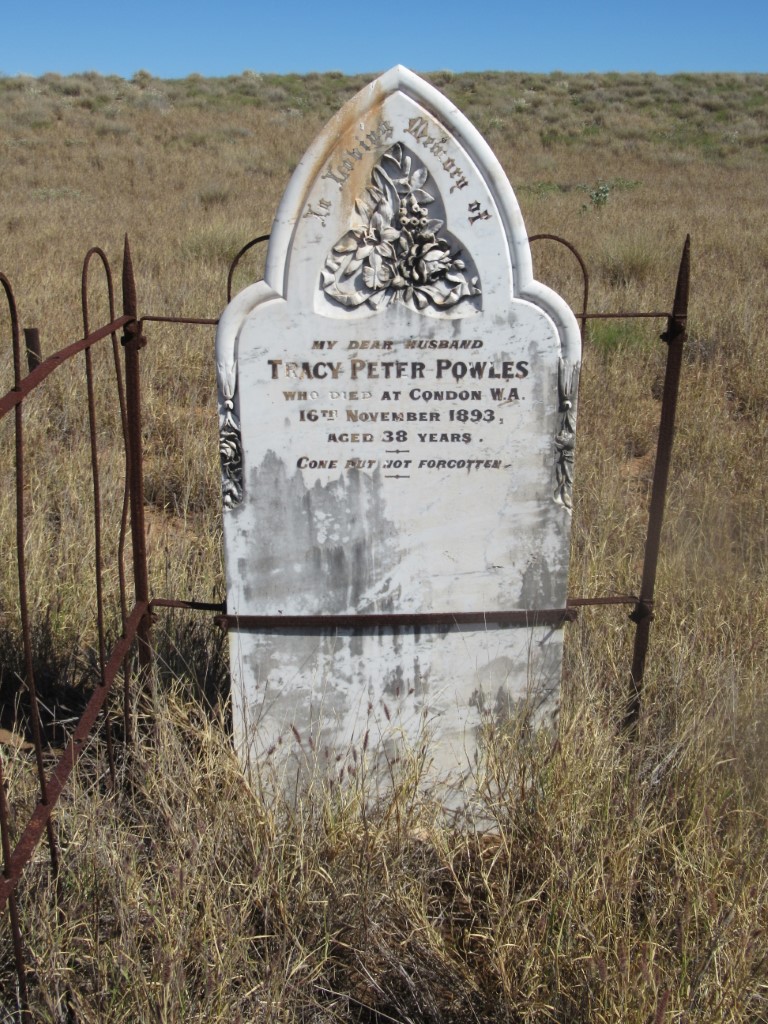 This is a photo of  Headstone Ref 0958 Tracey Powles Condon Cemetery