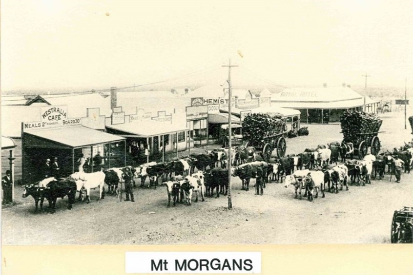 Mount Morgans