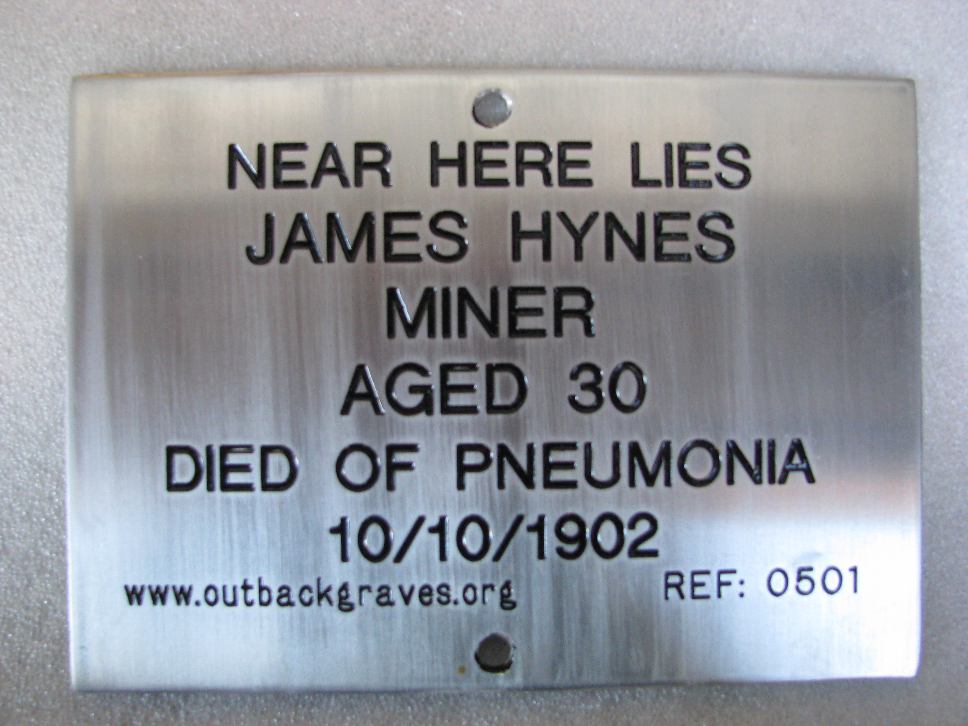 This is a photograph of plaque number 501 for  JAMES HYNES at LAKE RAESIDE
