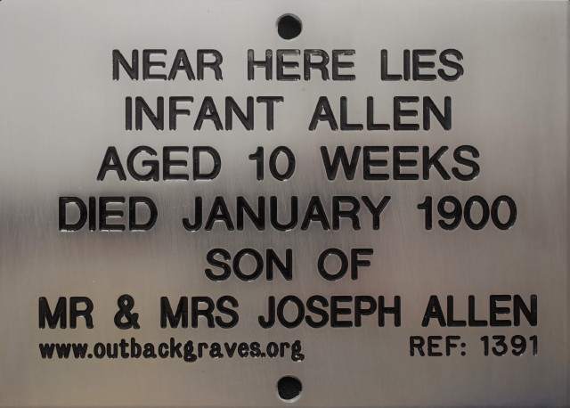 This is a photograph of plaque number 1391 for INFANT ALLEN at MT. MORGANS
