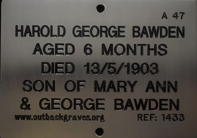 This is a photograph of plaque number 1433 for HAROLD GEORGE BAWDEN at MT. MORGANS 