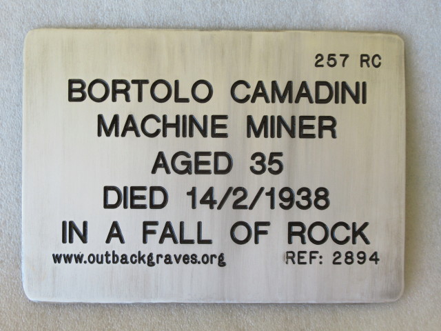 This is a photograph of plaque number 2894 for BORTOLO CAMADINI at LEONORA