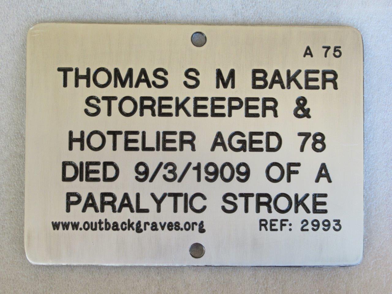 This is a photograph of plaque number 2993 for THOMAS S M BAKER at Mt MORGANS