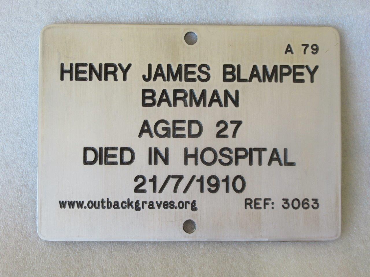 This is a photograph of plaque number 3063 for HENRY JAMES BLAMPEY at Mt MORGANS