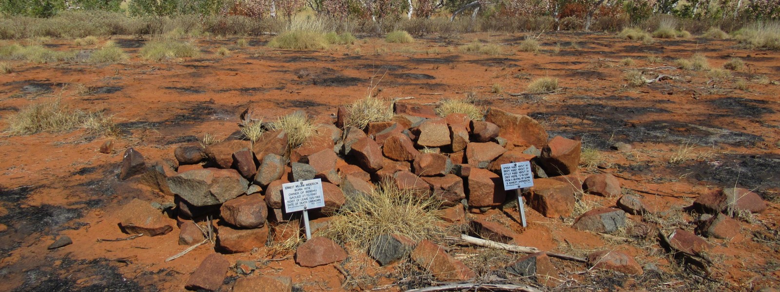 This is an image of the graves of SPIDER, BIDDY and POLLY at Bendhu