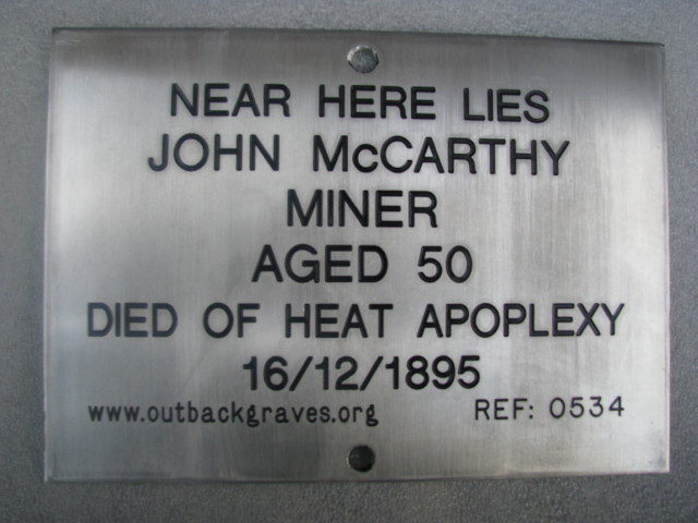This is an image if plaque number 0534 JOHN McCARTHY, of BAMBOO CREEK