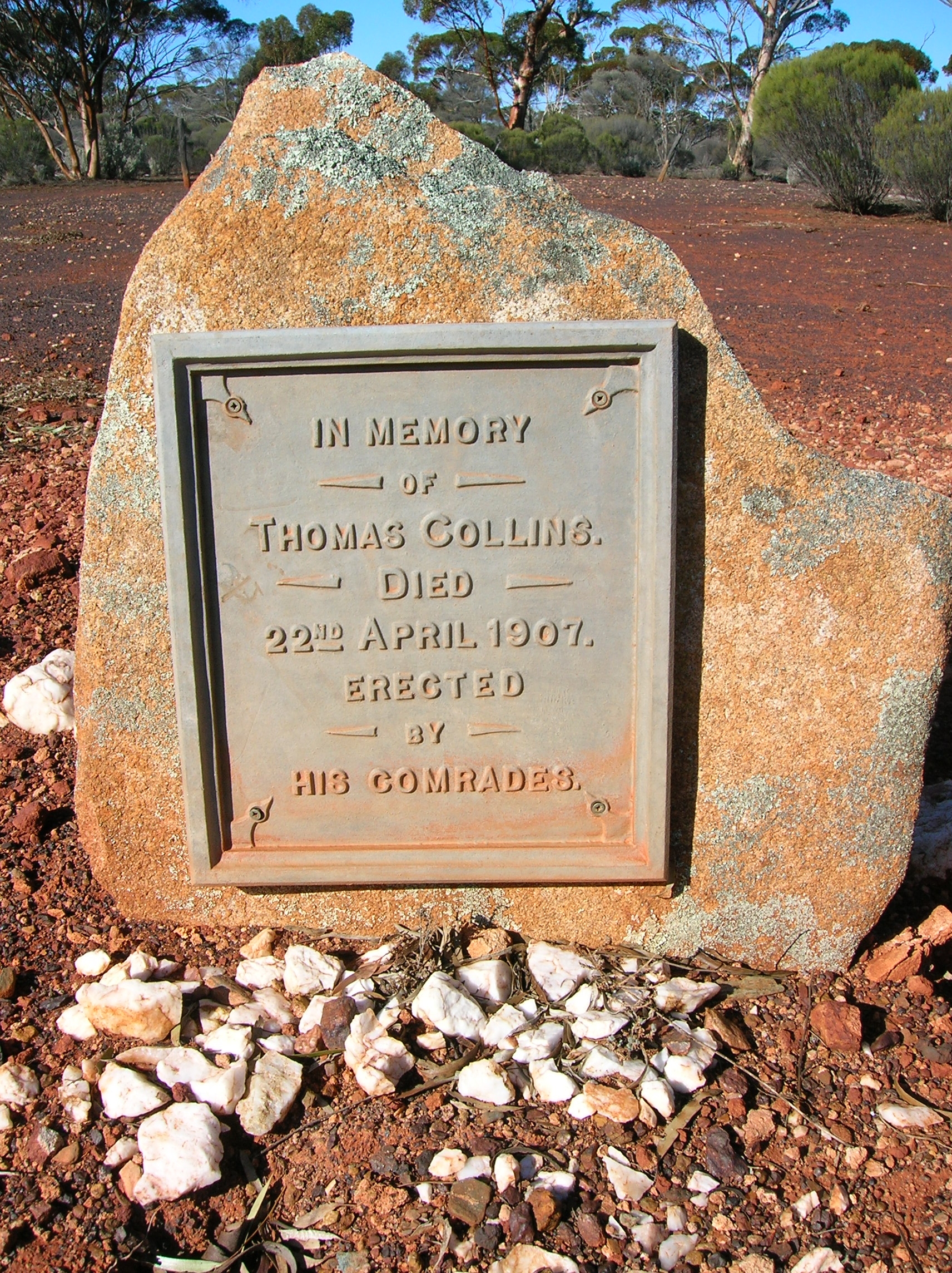 This is a photograph of the Memorial plaque for Thomas COLLINS