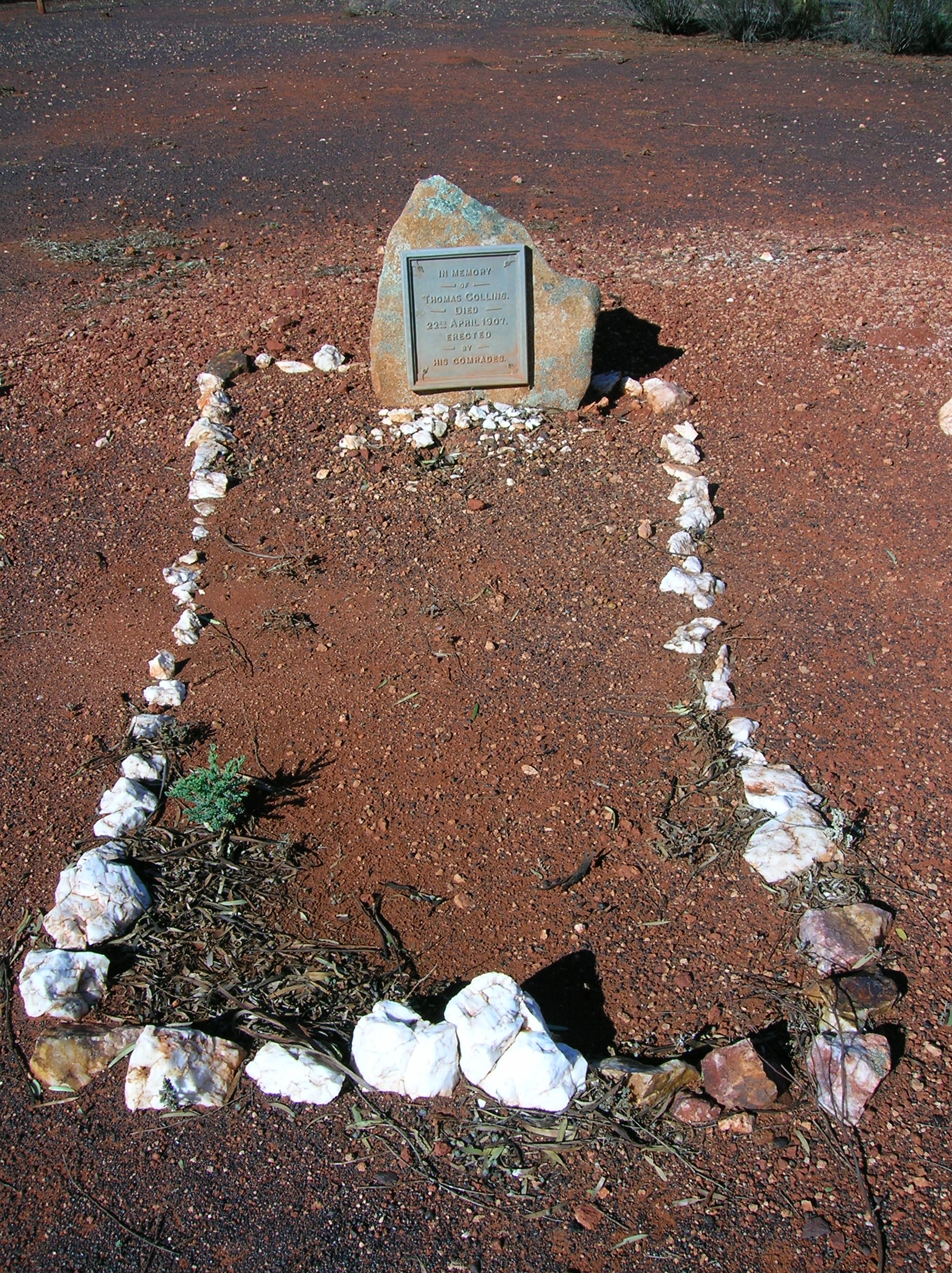 This is a photograph of the grave of Thomas COLLINS