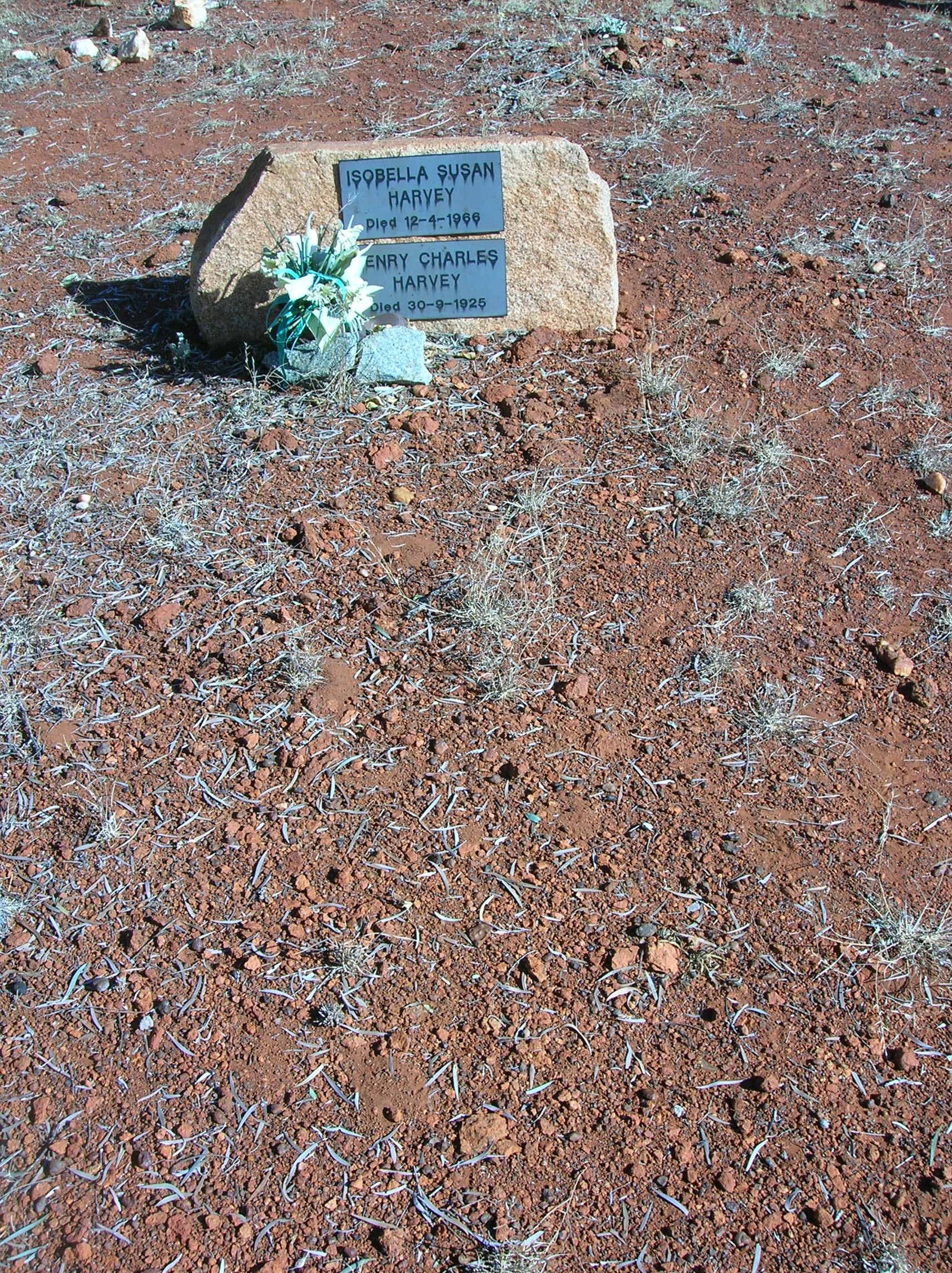 This is a photograph of the grave where Isabella and Henry Harvey are both buried at Kookynie