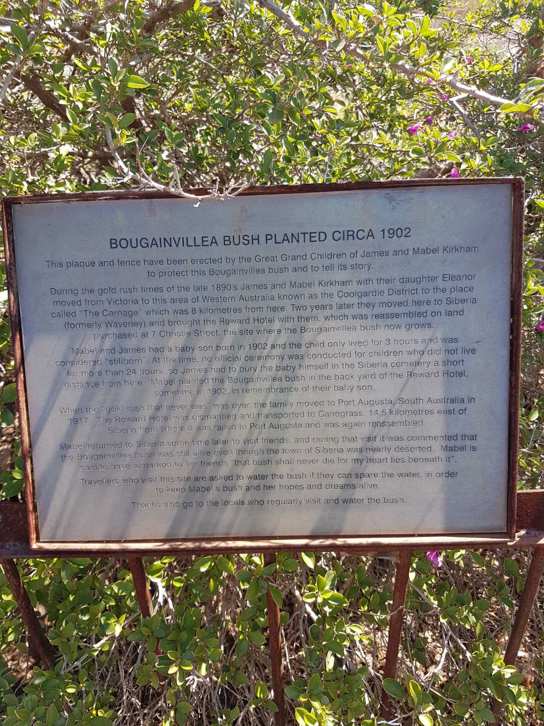 This is a photograph of the family history plaque at the site of the child's burial