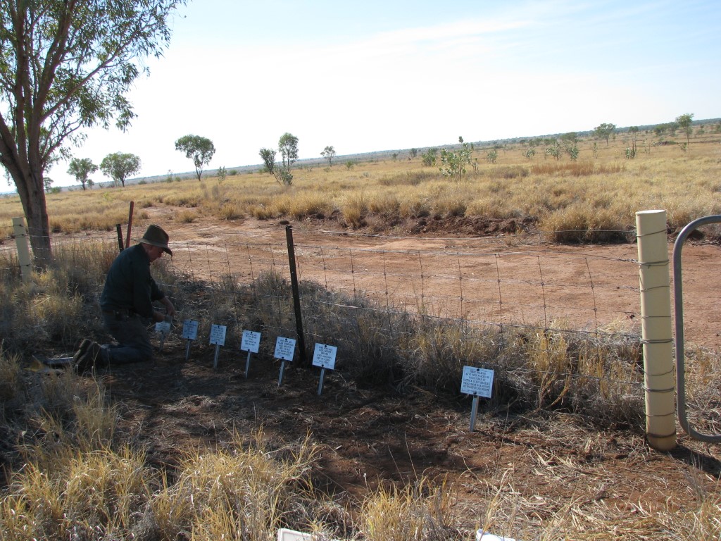 This is a photo of Old Ord River Installing Plaques