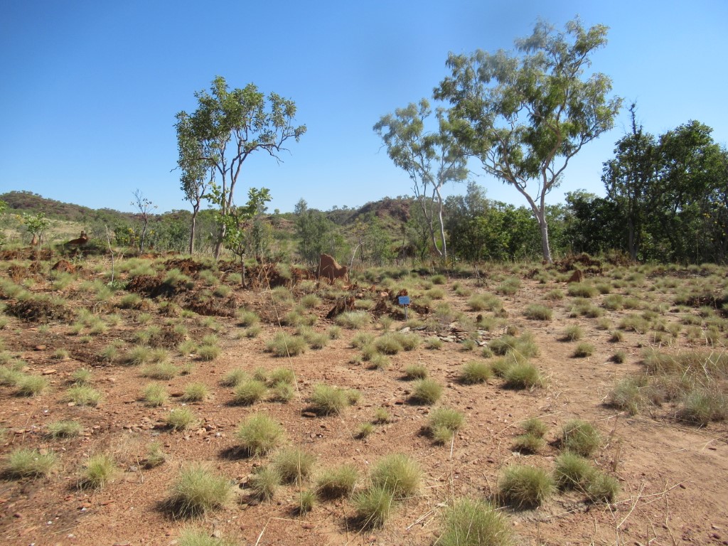 This is a photo of the landscape at Mt. Broome with a Grave