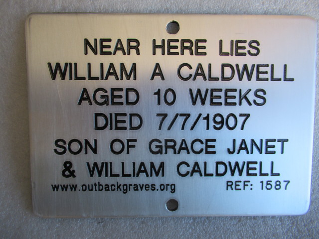 This is a photograph of plaque number 1587 for William A CALDWELL at Mulline