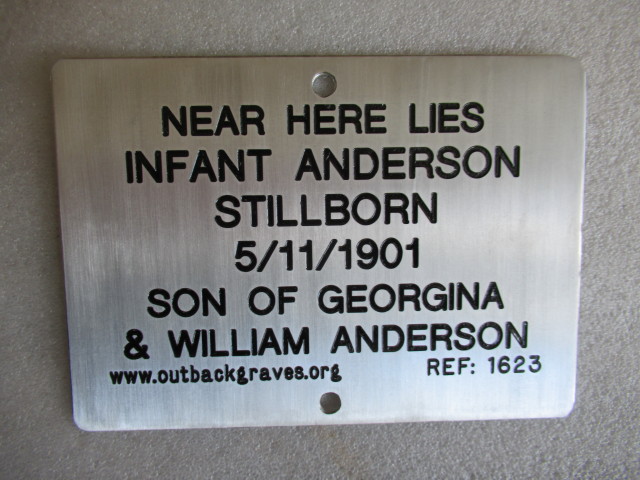 REF 1623 INFANT ANDERSON KOOKYNIE