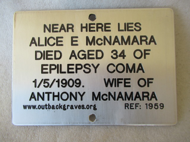  This is a photograph of plaque number 1959 for ALICE E McNAMARA of KOOKYNIE