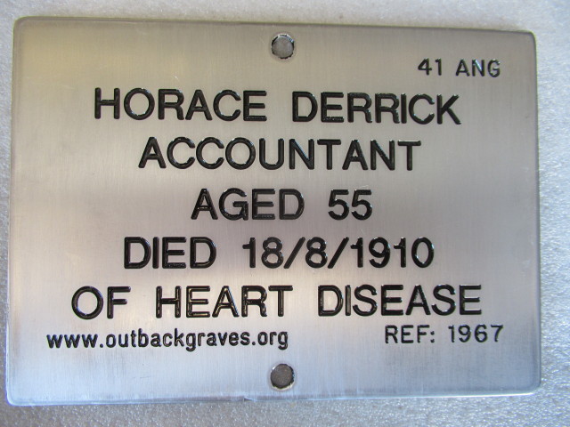 This is a photograph of plaque number 1967 for HORACE DERRICK at KOOKYNIE