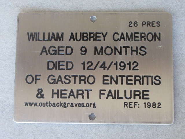 This is a photograph of plaque number 1982 for WILLIAM AUBREY CAMERON at KOOKYNIE