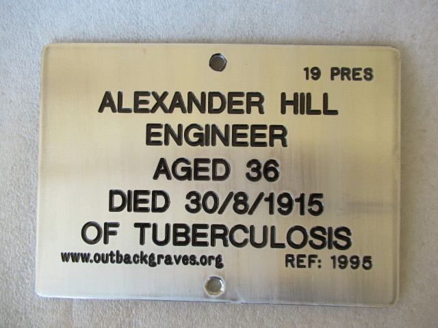 This is a photograph of plaque number 1995 for  ALEXANDER HILL at KOOKYNIE