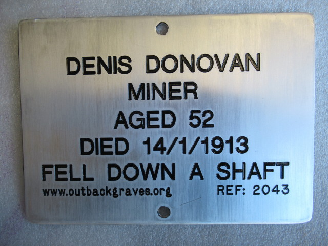 This is a photograph of plaque number 2043 for Denis Donovan at Pinjin
