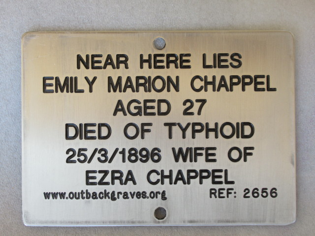 This is a photograph of plaque number 2656 for EMILY MARION CHAPPEL at MENZIES