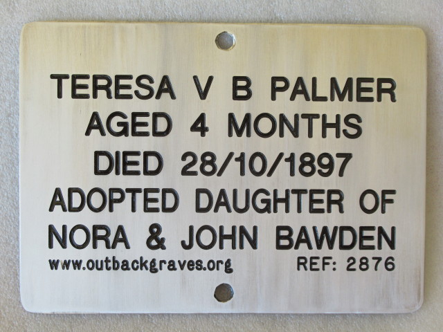 This is a photograph of plaque number 2876 for TERESE V B PALMER at MENZIES