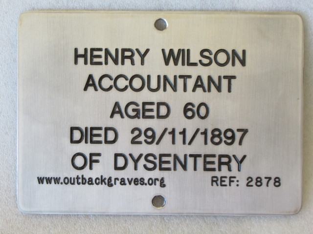 This is a photograph of plaque number 2878 for HENRY WILSON at MENZIES