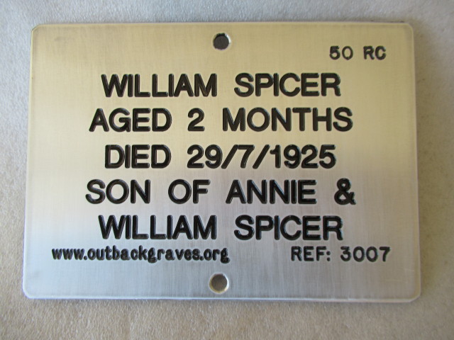 This is a photograph of plaque number 3007 for WILLIAM SPICER at KOOKYNIE