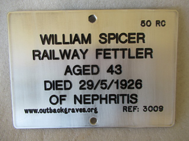 This is a photograph of plaque number 3009 for WILLIAM SPICER at KOOKYNIE