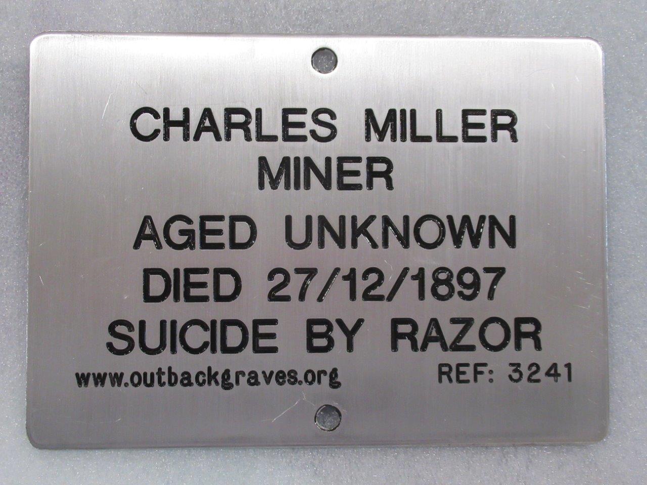 This is a photograph of plaque number 3241 for CHARLES MILLER at CROYDEN DOWNS STATION