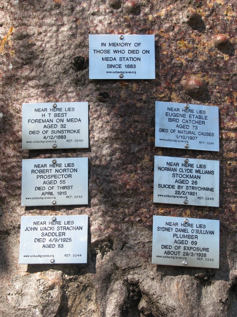 This is a photo of Plaques on Boab Tree for Meda Station cemetery