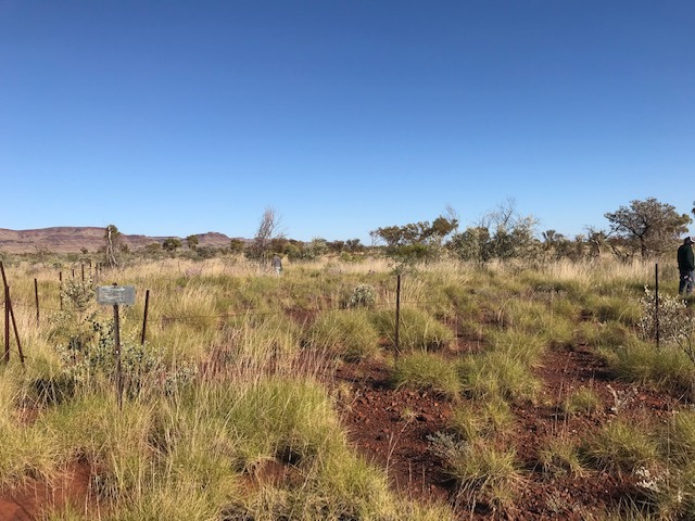 This is a photo of  WITTENOOM OLD AIRPORT CEMETERY 
