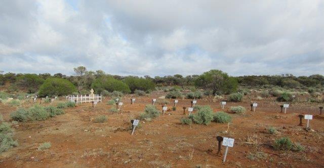 This is the Youanmi Cemetery showing William Jordan's grave