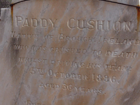 Cushion Paddy