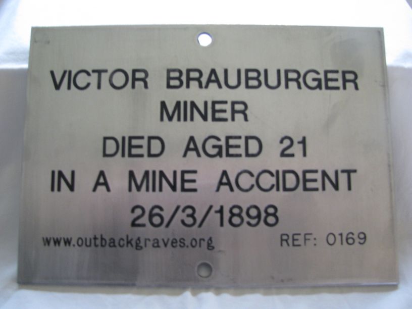 REF 0169 VICTOR BRAUBERGER - NIAGARA