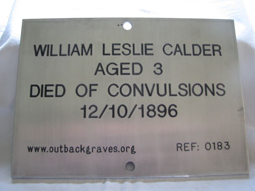 REF 0183 WILLIAM L CALDER - CALLION